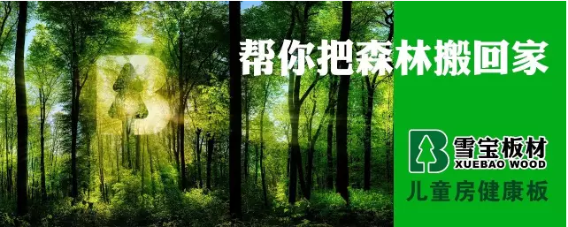 中國(guó)板材十大品牌
